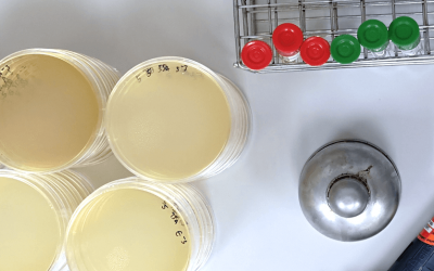Microbiological Test
