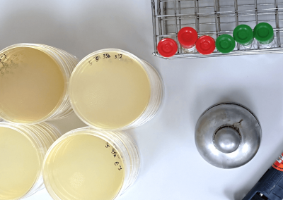 Microbiological Test