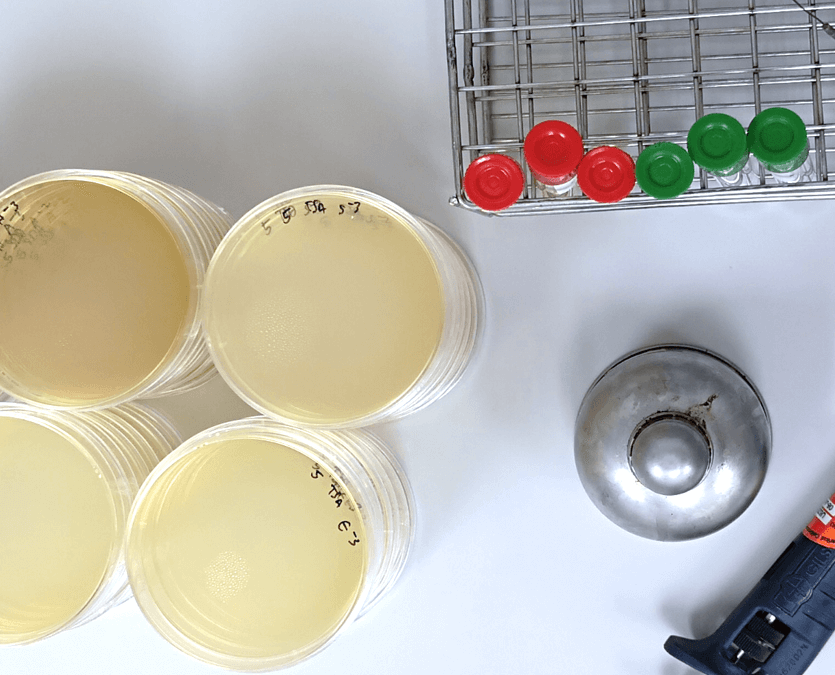 Microbiological Test